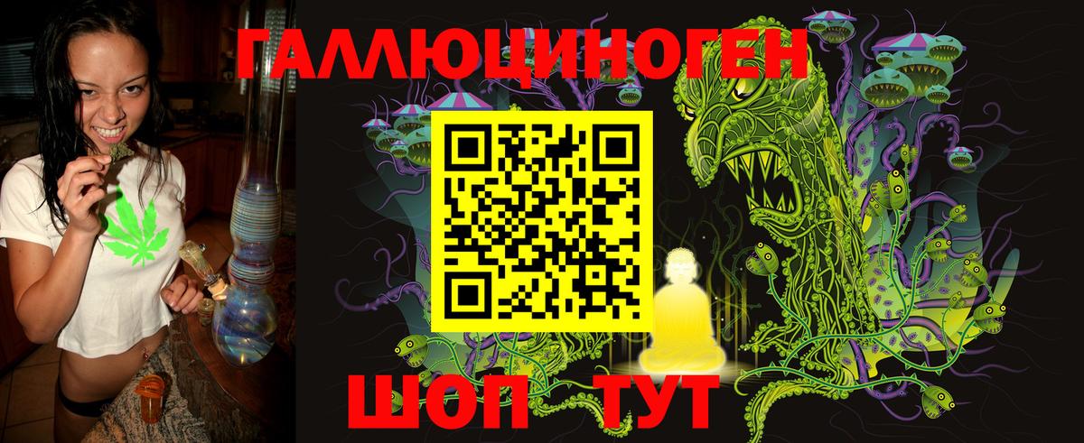 Псилоцибиновые грибы MAGIC MUSHROOMS Камышлов