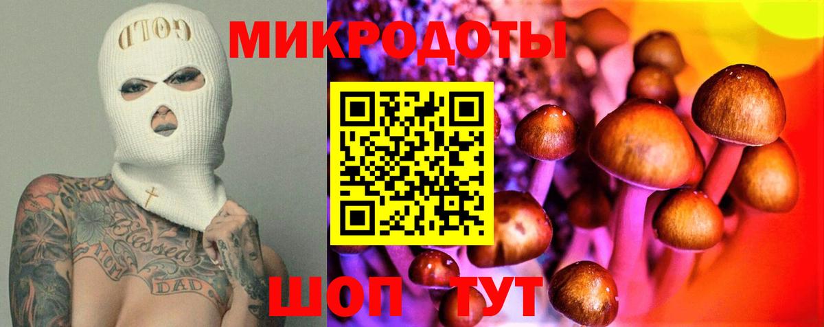 Камышлов  Галлюциногенные грибы Magic Shrooms  Вход с VPN 
